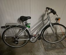 Giant Escape 4W Womens Hybrid Bike & Rack & Mudguards