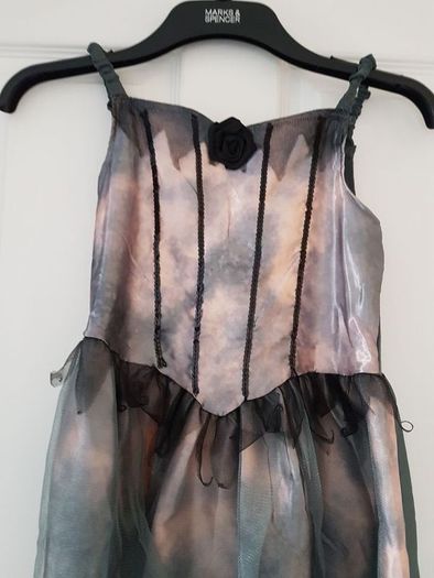 Halloween costume for girl