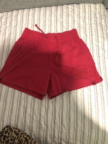 Zara shorts