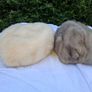 2 X Mid Century Mink Hats(Barnardos) Image 2