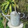 Old Galvanised Watering 2 gal. can Image 2