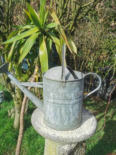 Old Galvanised Watering 2 gal. can