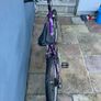 Pearl mountain bike Image 4