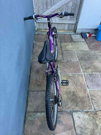 Pearl mountain bike