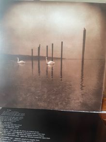 OM - Conference Of The Birds (First Press) (Sleep/Shrinebuilder)