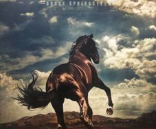 Bruce Springsteen - Western Stars Limited Edition 2 x LP Blue Vinyl