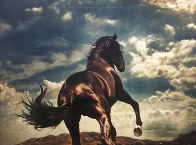 Bruce Springsteen - Western Stars Limited Edition 2 x LP Blue Vinyl