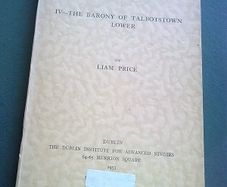 The place-names of Co. Wicklow Barony of Talbotstown Lower Ireland Irish History