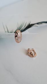 Brand new earrings