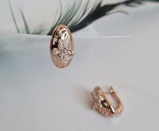 Brand new earrings
