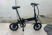 Fiido D1 Electric Bike