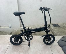Fiido D1 Electric Bike