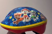 Paw patrol helmet