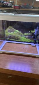 aquarium 27 litre fully equipped
