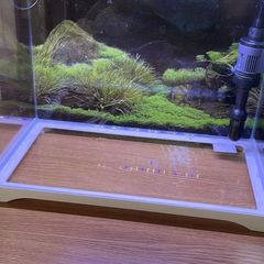 aquarium 27 litre fully equipped