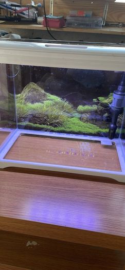 aquarium 27 litre fully equipped