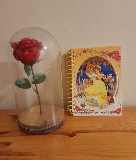 Beauty & the Beast Rose Dome and Belle Notebook