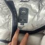 canada goose Image 3