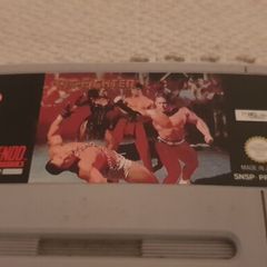 Pit Fighter  Top SNES Game Cart Only For Sale Here