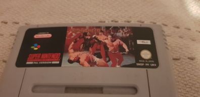 Pit Fighter  Top SNES Game Cart Only For Sale Here