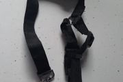 dog lead for car