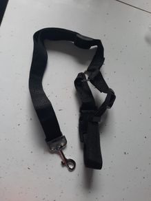 dog lead for car