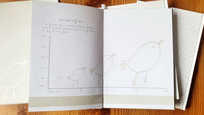 baby book