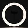 29144 10" LED Ring Light for Phone Camera Live Makeup Video Image 9