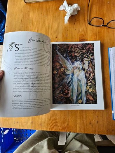 Good Faeries Bad Faeries. By Brian Fraud. First Edition Large Volume Paperback In Good Condition.  See Photos For Same.