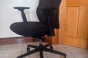 senator ousby mesh task chairs