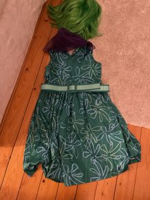 Disgust costume age 8-10
