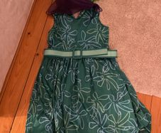 Disgust costume age 8-10