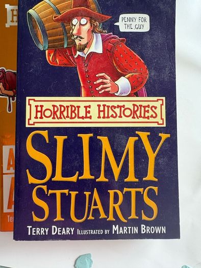 Horrible Histories Books