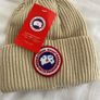 canada goose Image 6