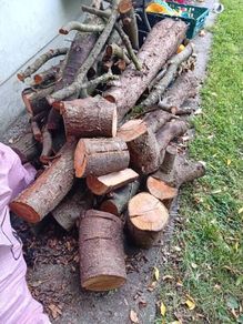 Firewood