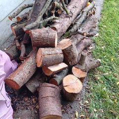 Firewood