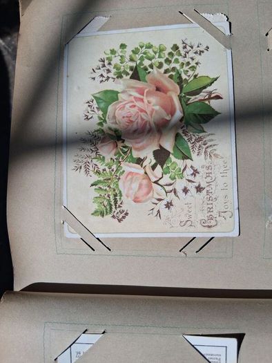 Mega Art Nouveau Postcard Album (197 Pieces)