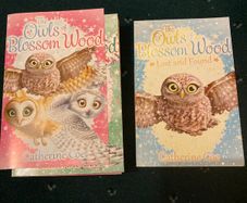 Catherine Coe The owls of Blossom Wood