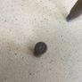 WW2 American Empty shell Image 6