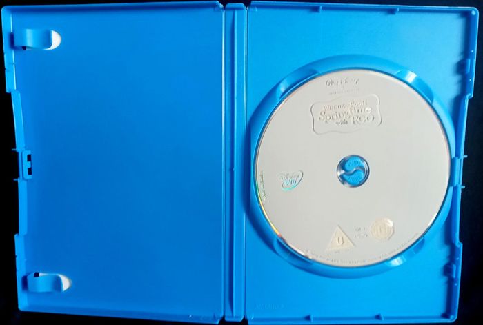 Walt Disney Presents 'Winnie The Pooh: Springtime With Roo' (2004) DVD