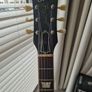 tokai Ls 50 Image 10