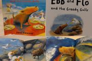 Ebb And Flo And The Greedy Gulls Story Book