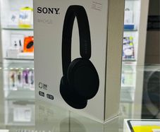 Sony Headphones (WH-CH520)
