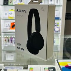 Sony Headphones (WH-CH520)