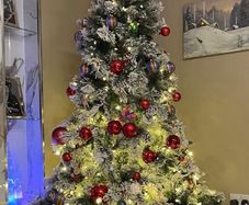 xmas tree with lights fitted