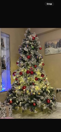 xmas tree with lights fitted