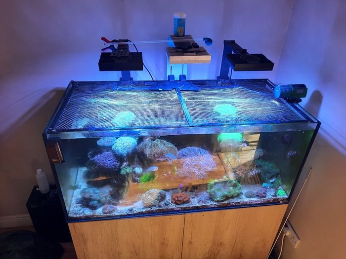 Complete Running Reef Tank