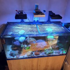 Complete Running Reef Tank