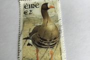 Irish stamp - Greenland white fronted Goose
