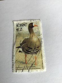 Irish stamp - Greenland white fronted Goose